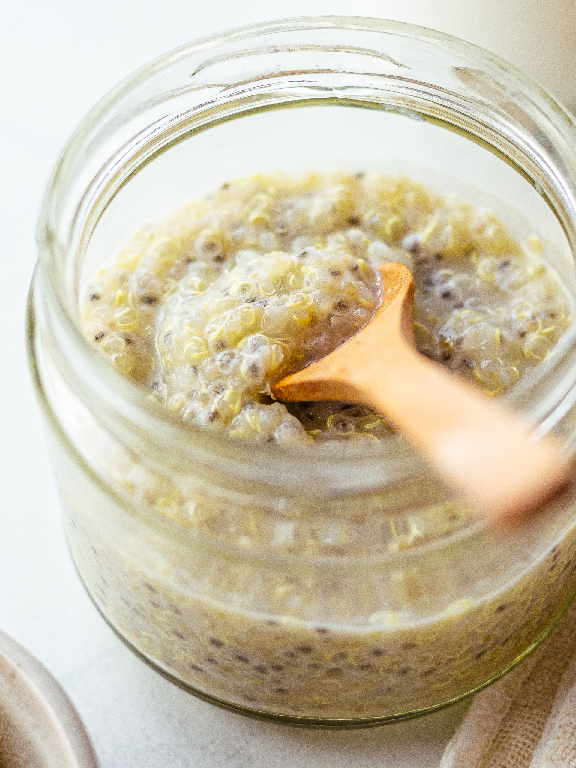 quinoa and chia seeds soaked overnight for pudding