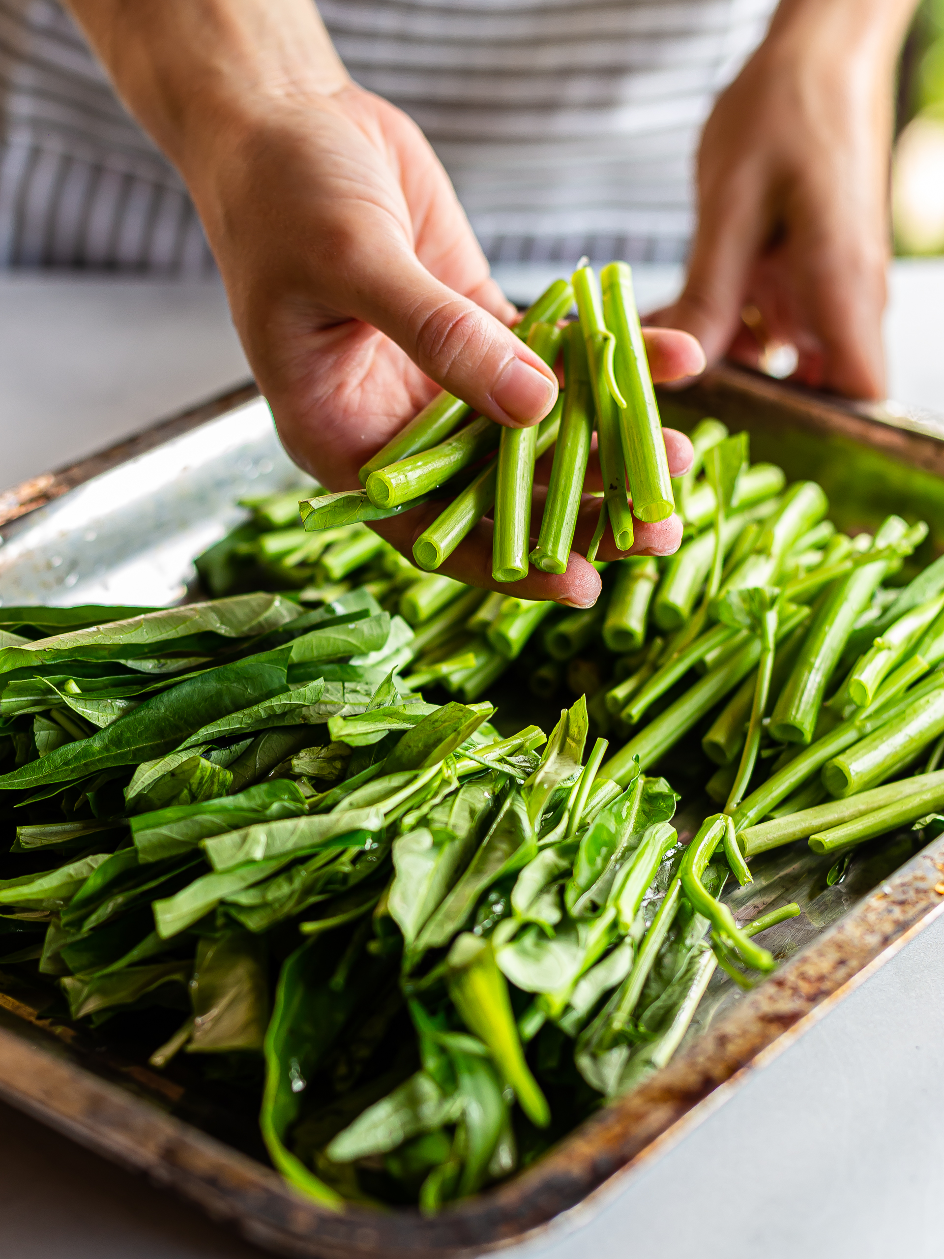 chopped morning glory vegetable