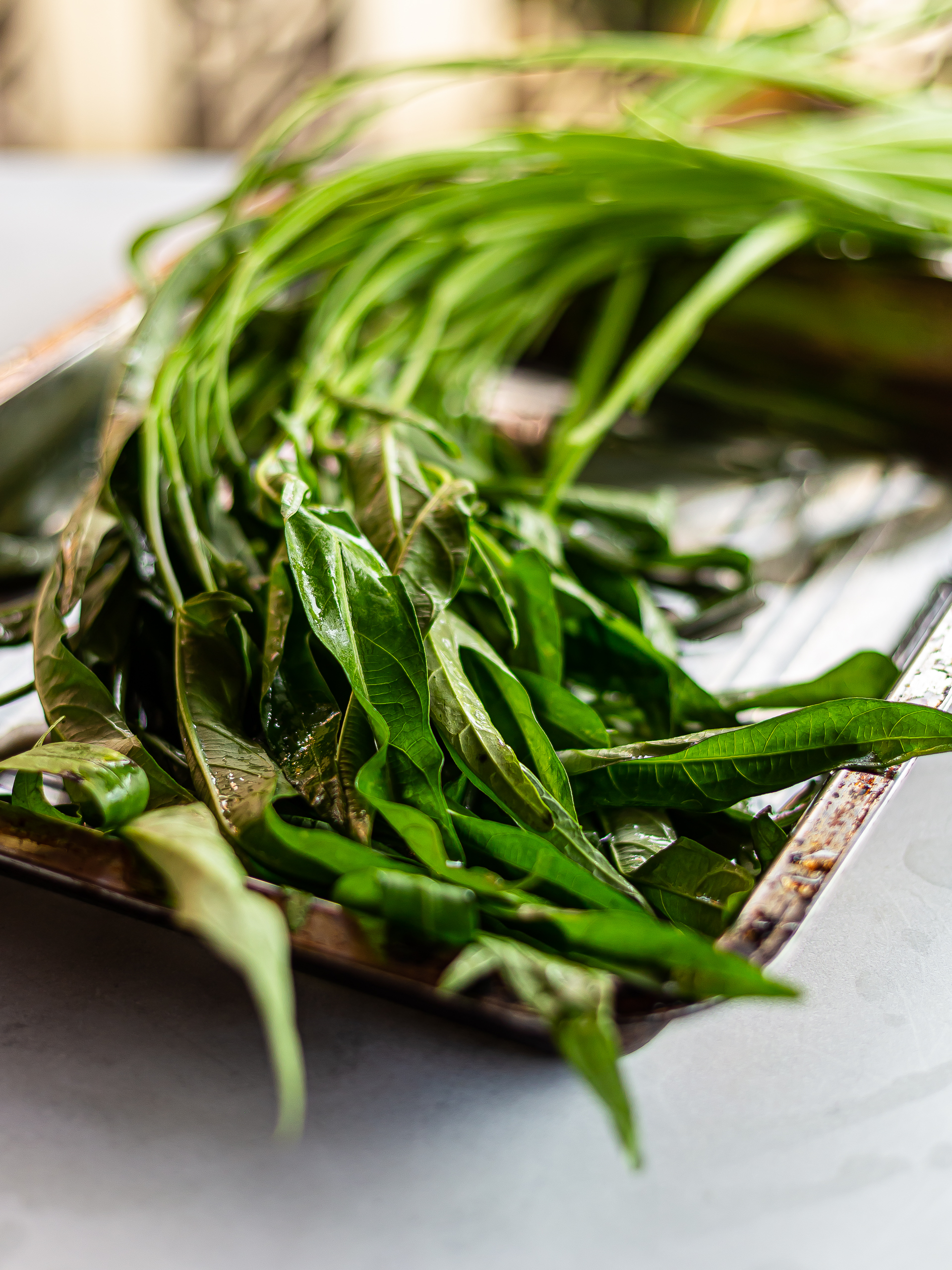 morning glory vegetable