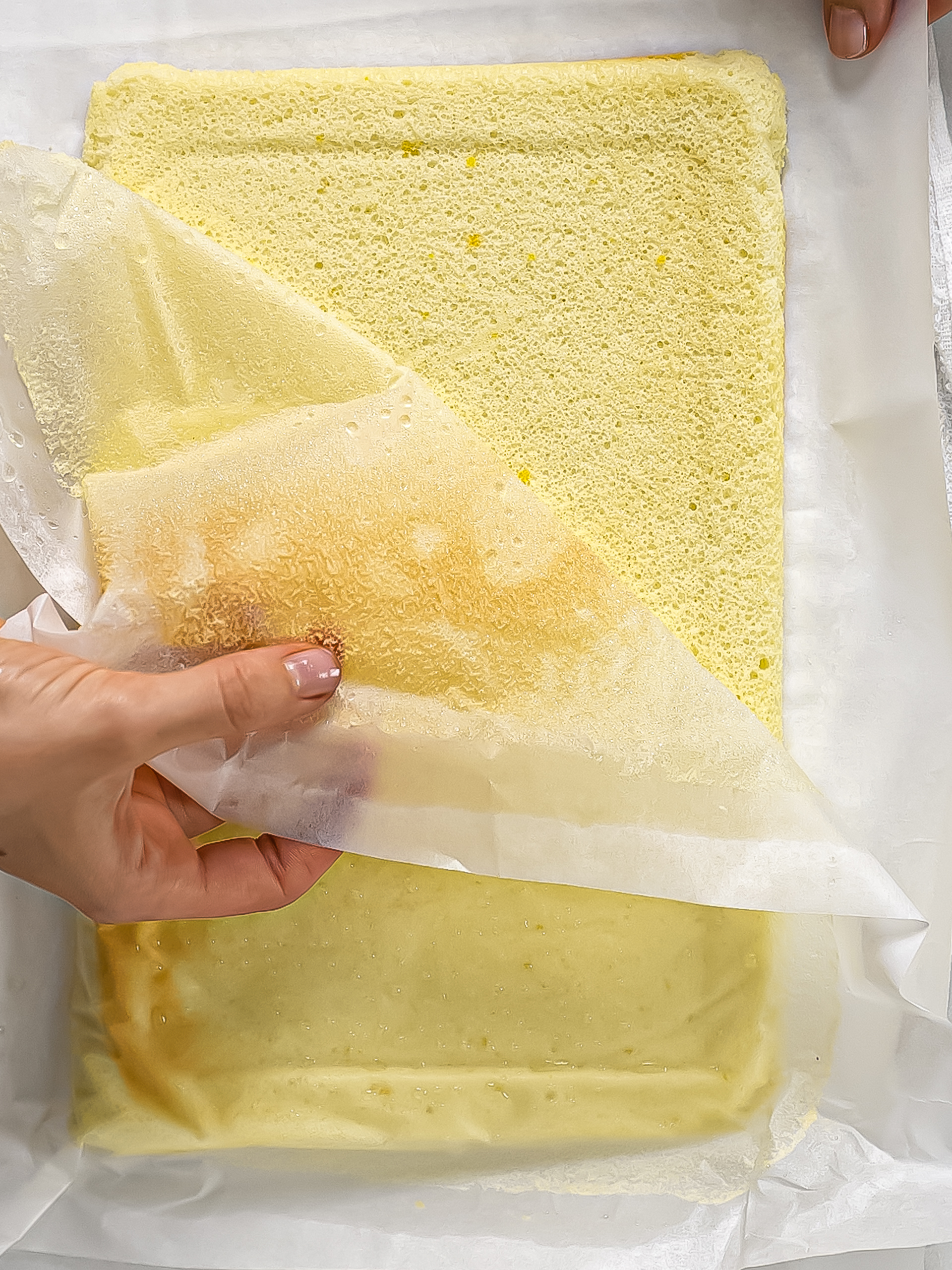 baked sponge cake sheet for cake roll