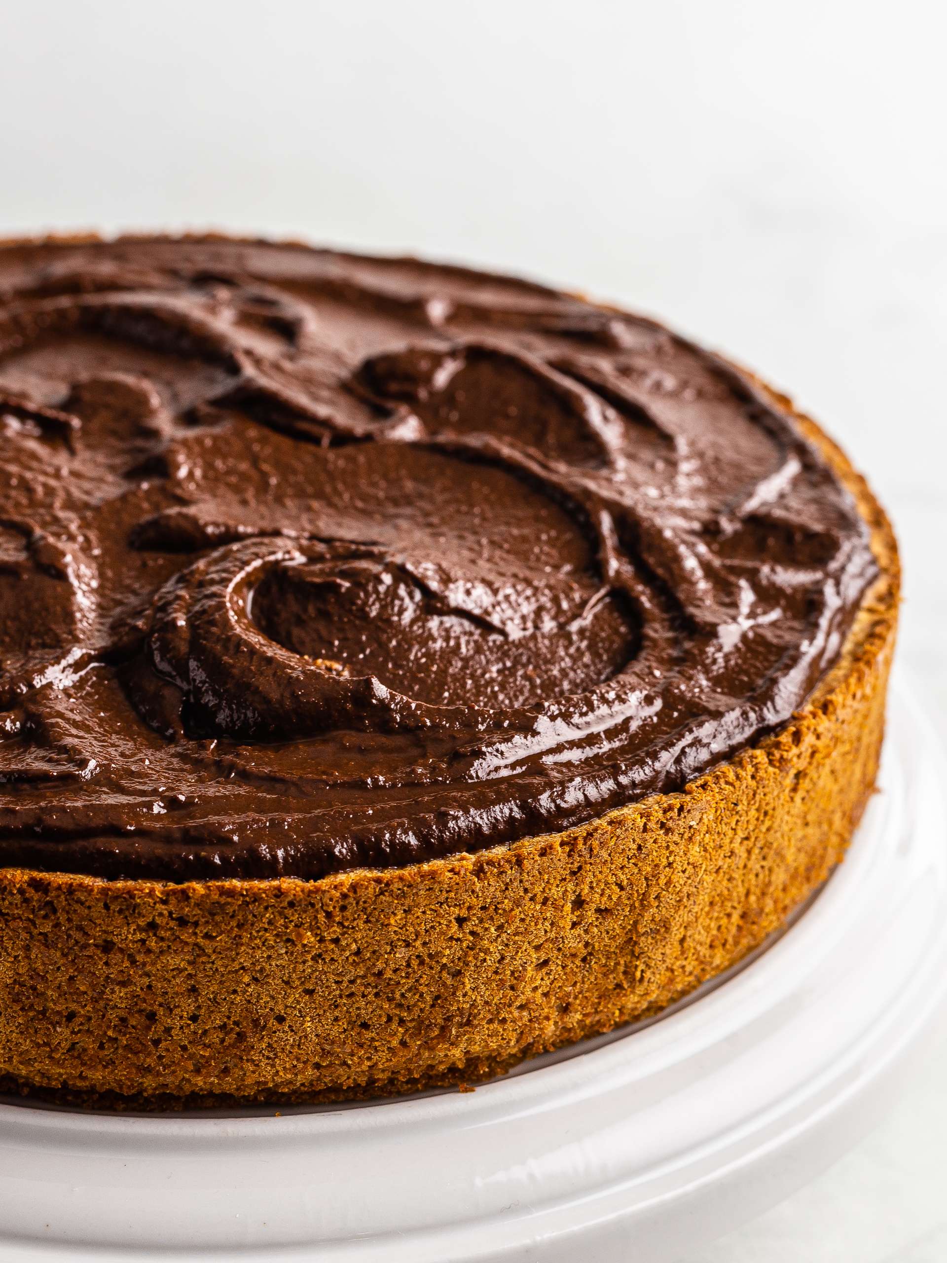 Vegan Applesauce Cake with Dark Chocolate Frosting
