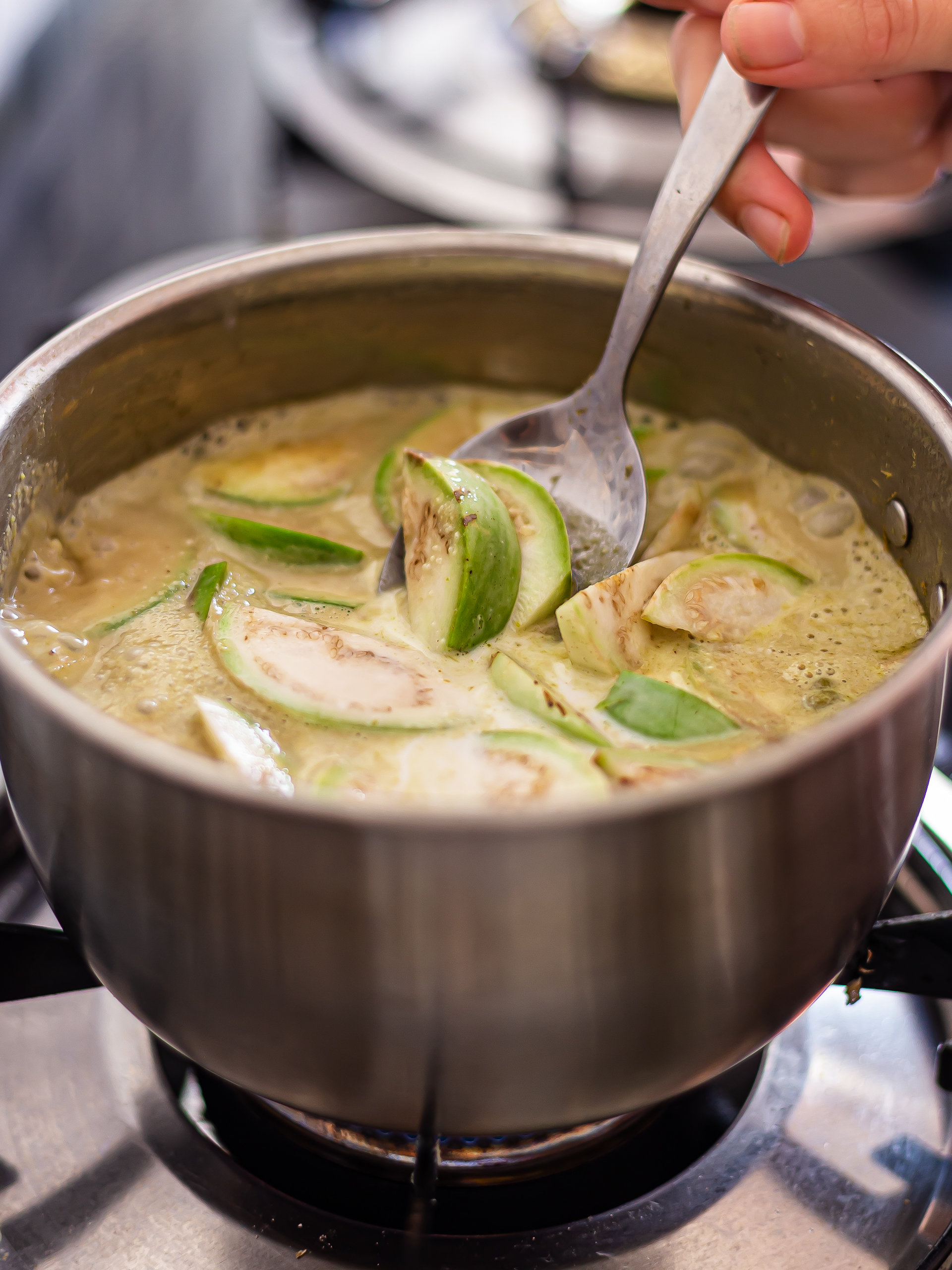 green curry with thai green aubergines