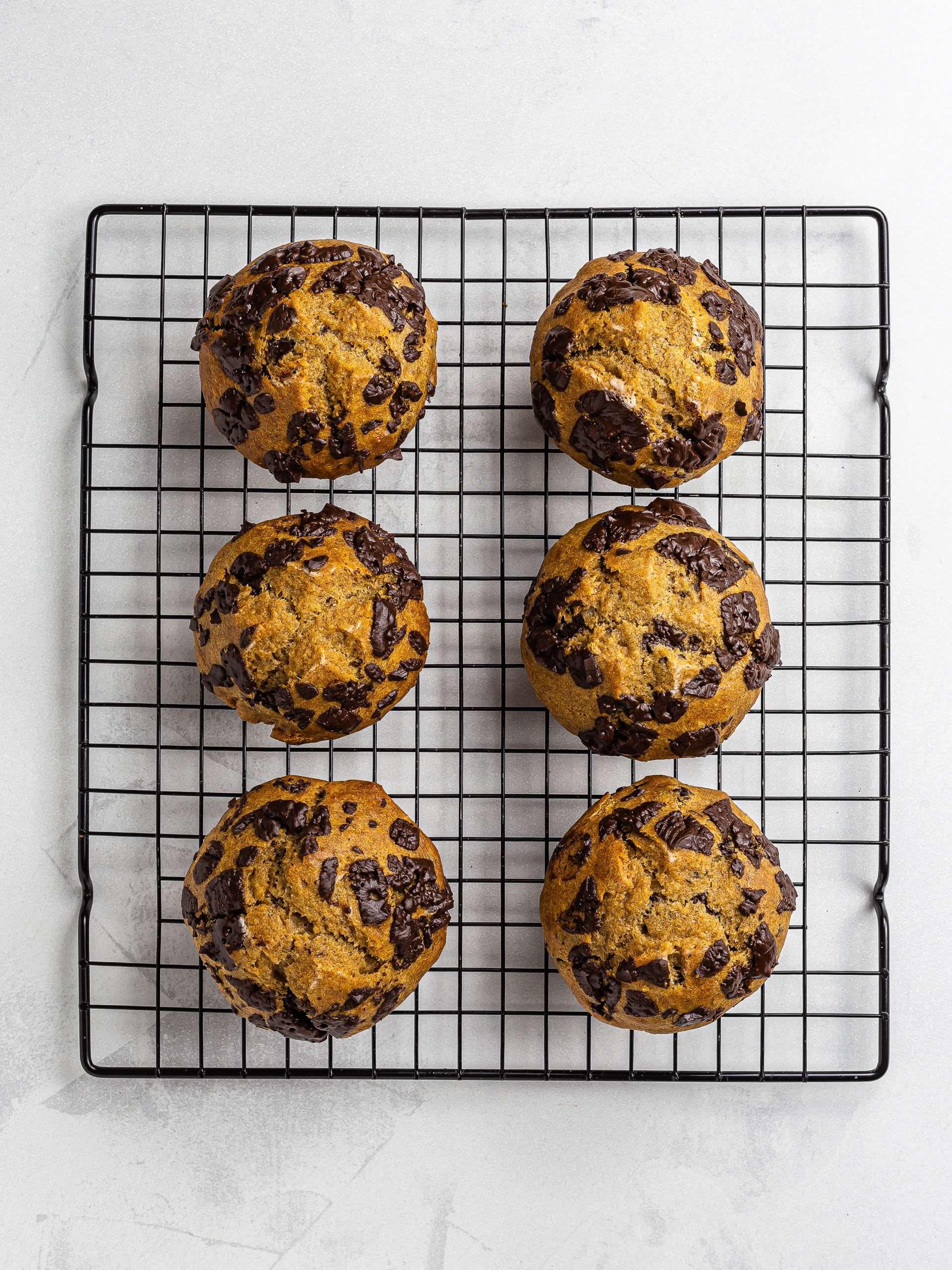 baked chocolate chips plantain muffins