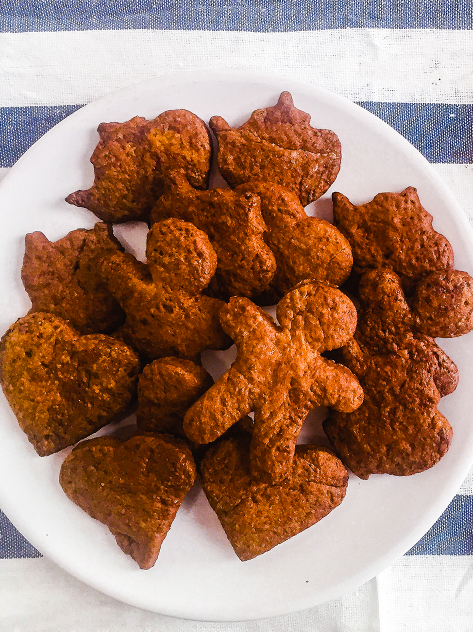 Dairy Free Cacao and Orange Cookies