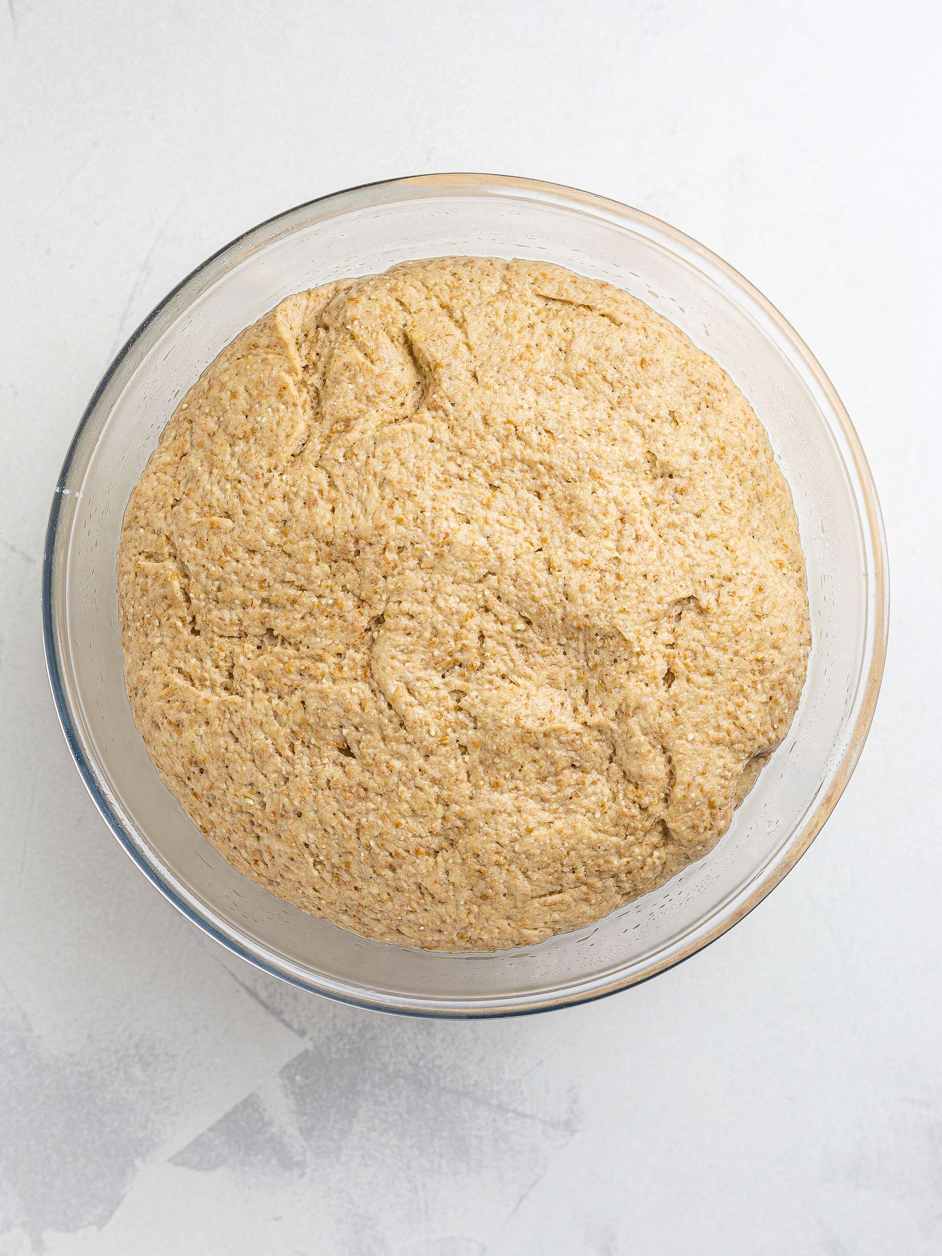 proved barley rusks dough in a bowl