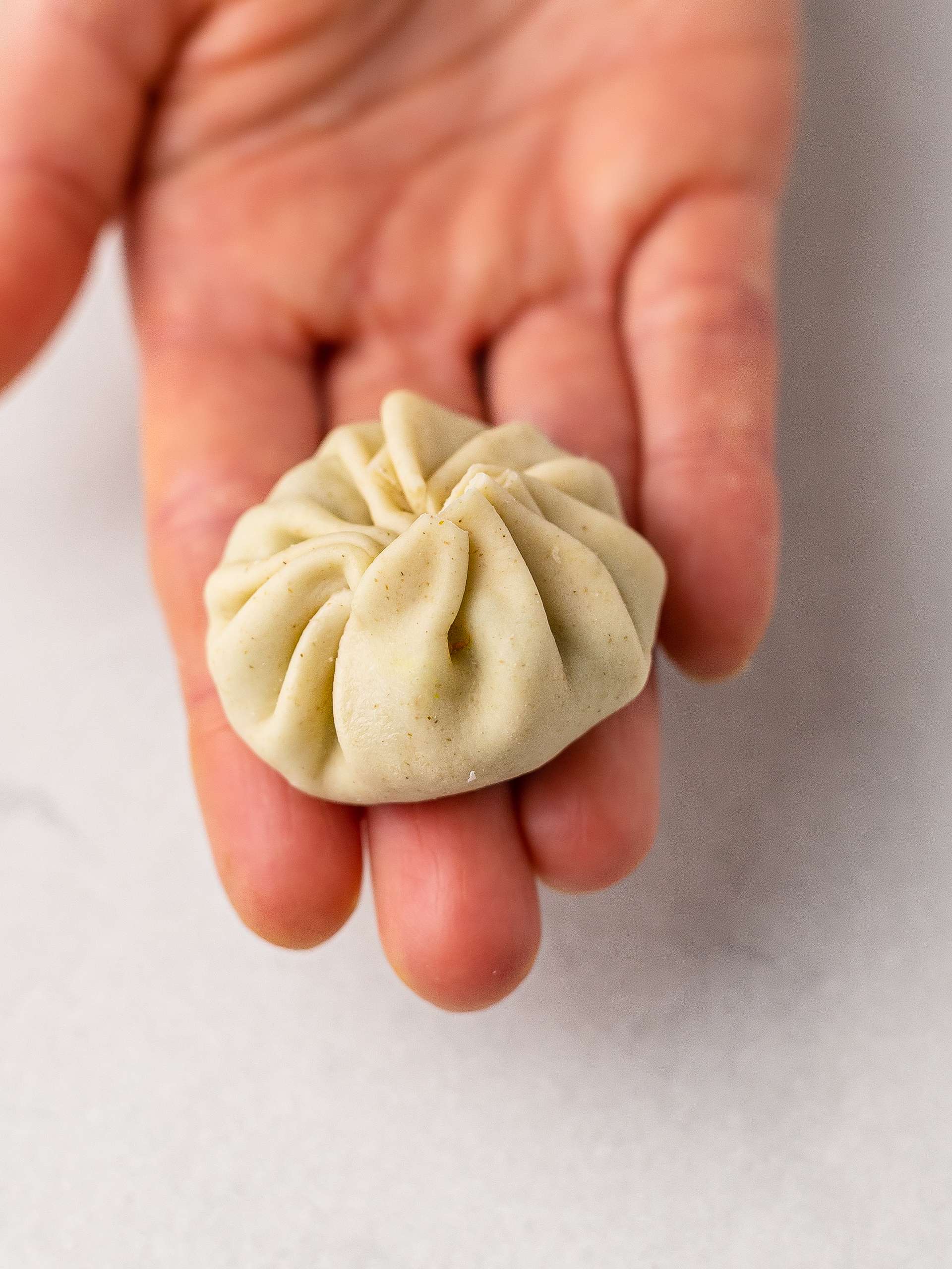 how to fold and seal dumplings