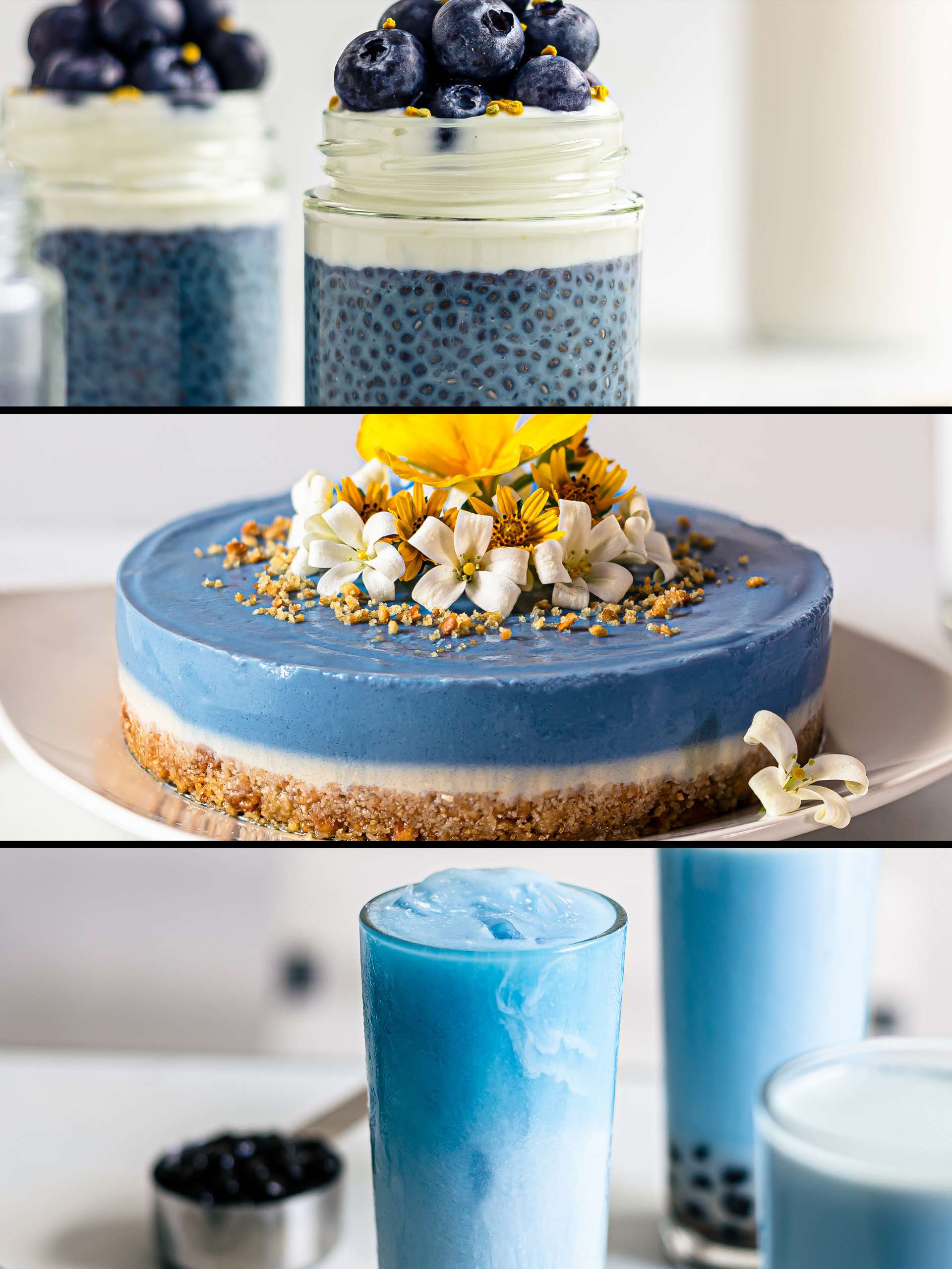 10 Beautiful Recipes with Butterfly Pea Flowers