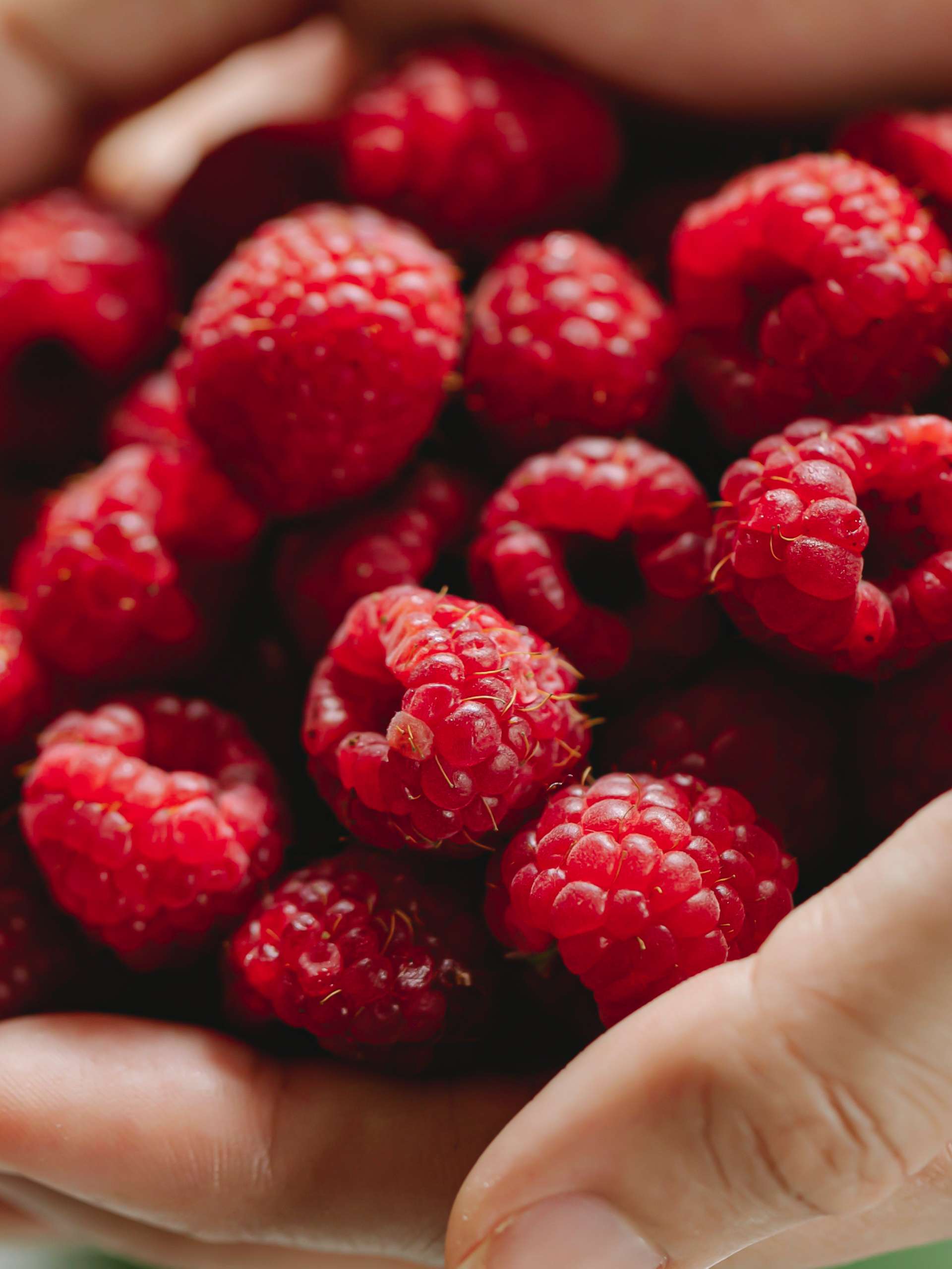 5 Reasons to Add More Raspberries To Your Diet