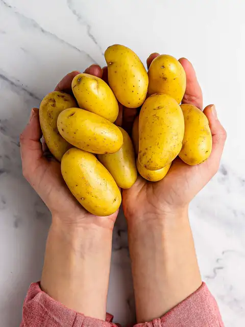 hands holding potatoes