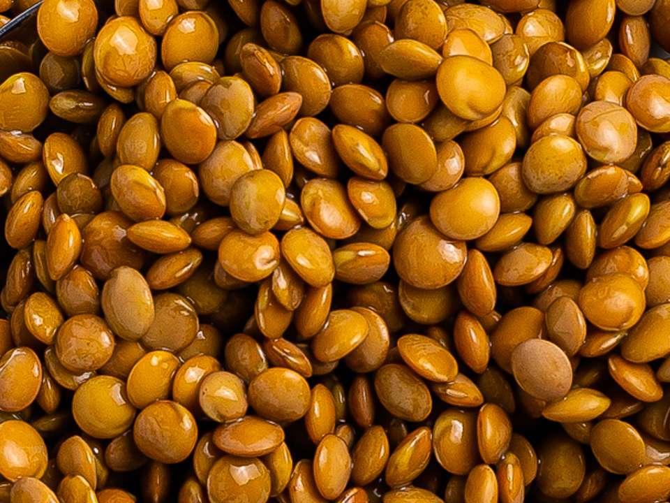8 Ways to Eat More Lentils For a Protein Boost | Foodaciously
