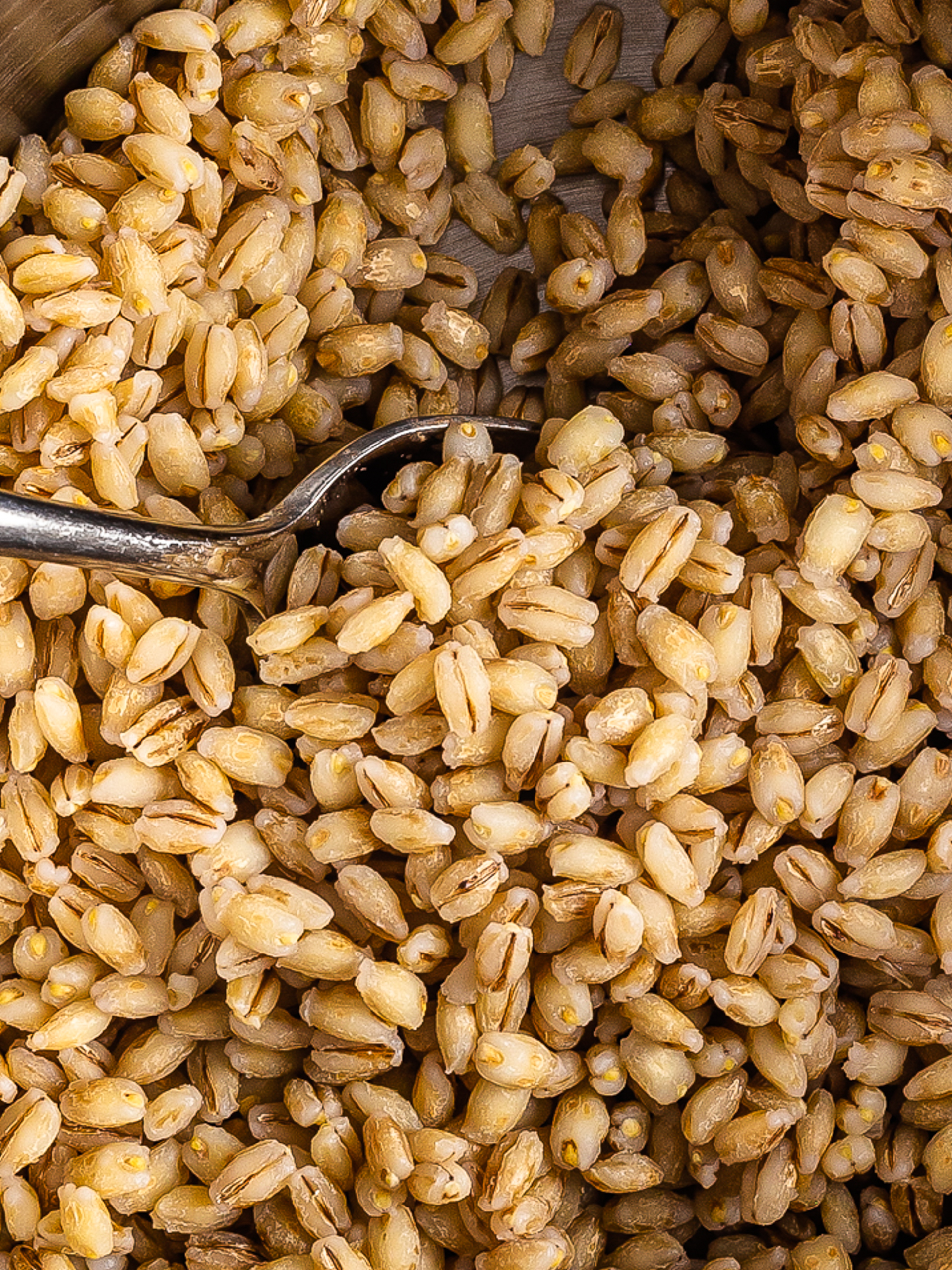 5 Health Benefits of Barley You Didn't Know About