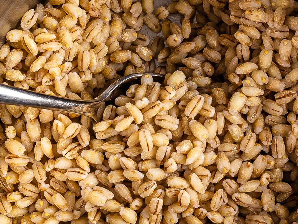 5 Health Benefits of Barley You Didn't Know About Foodaciously