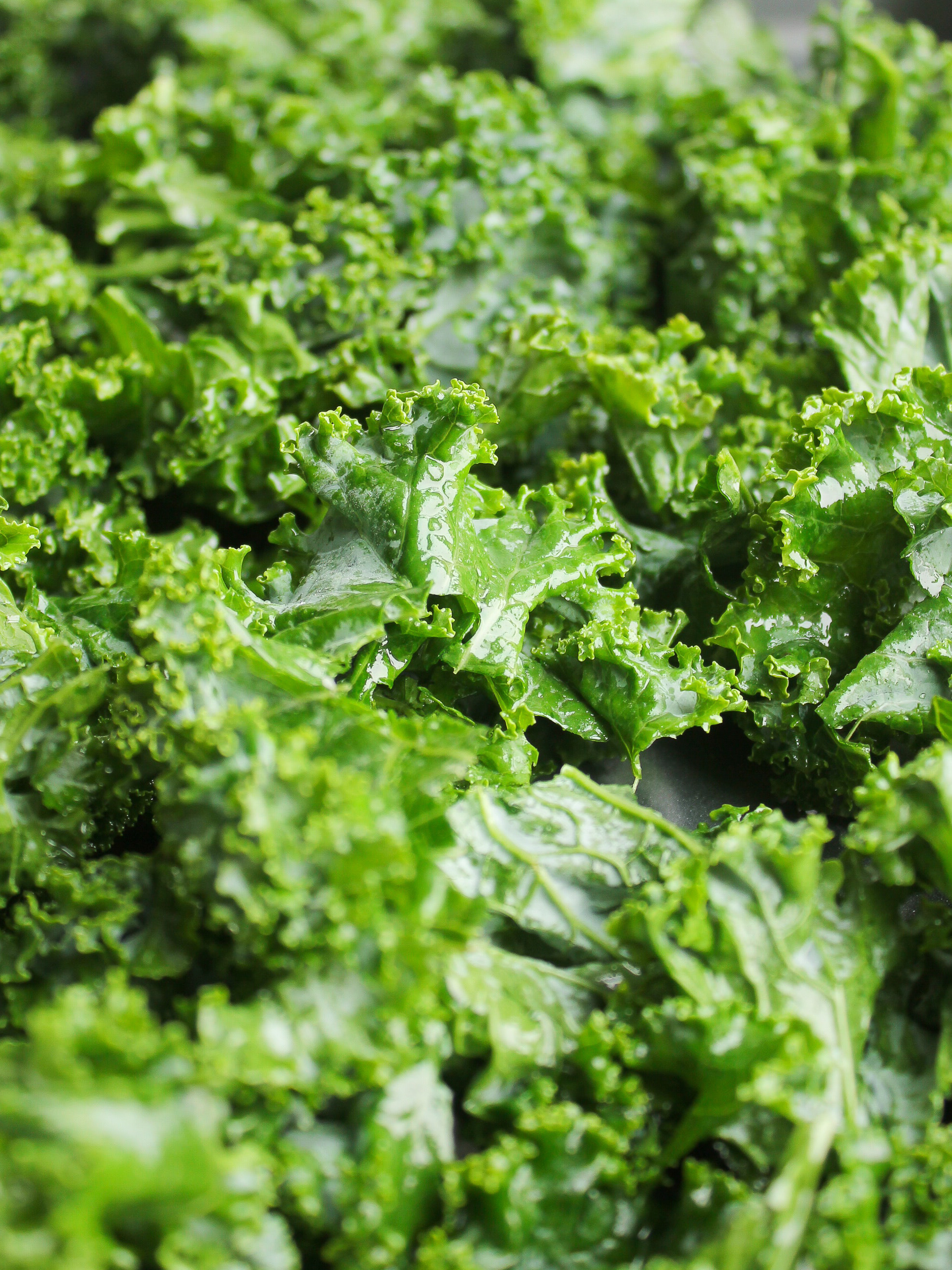 Is Kale a Superfood? Here's why you can actually eat too much : The Hearty  Soul