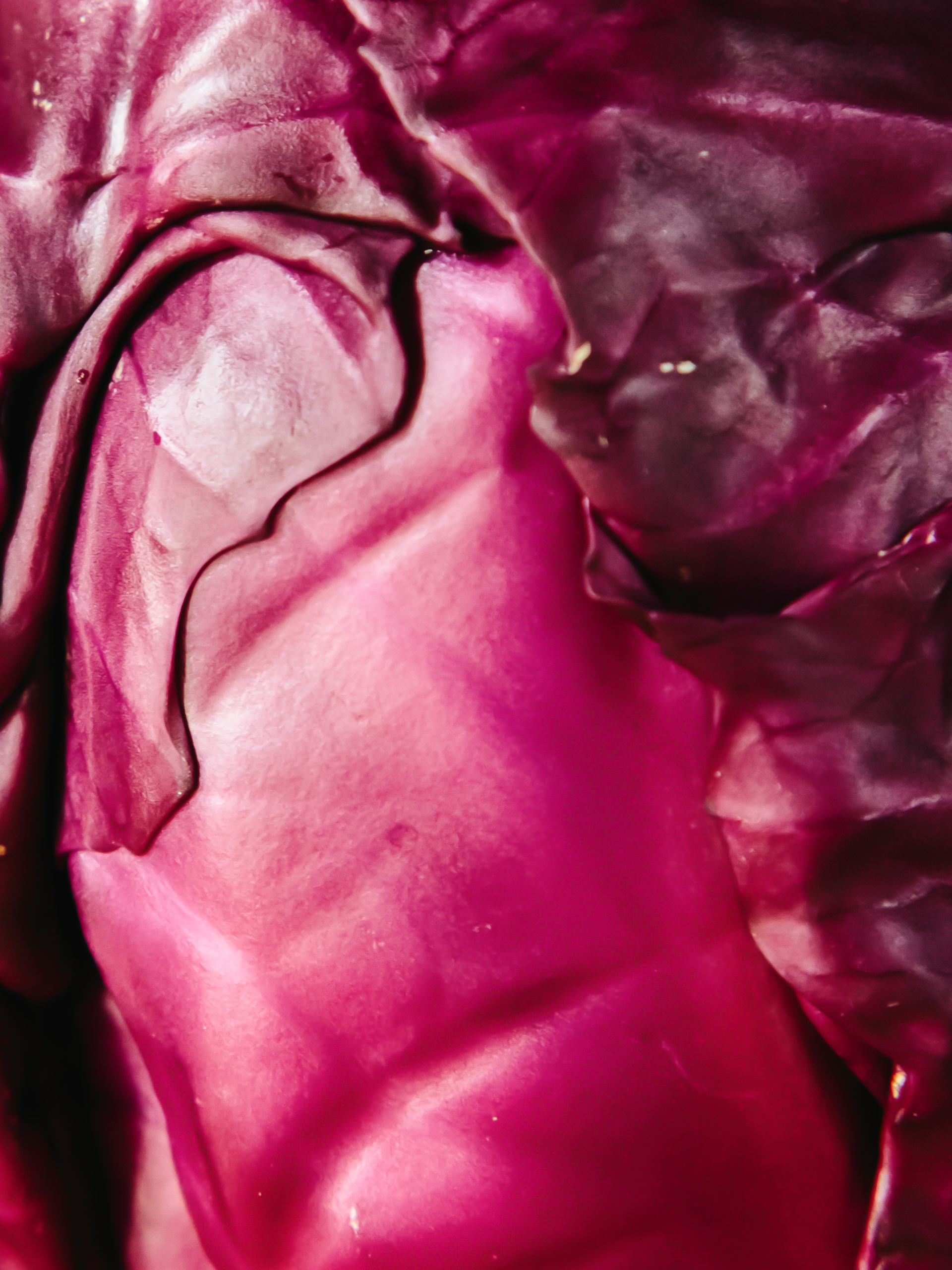 4 Reasons You Should Eat Red Cabbage