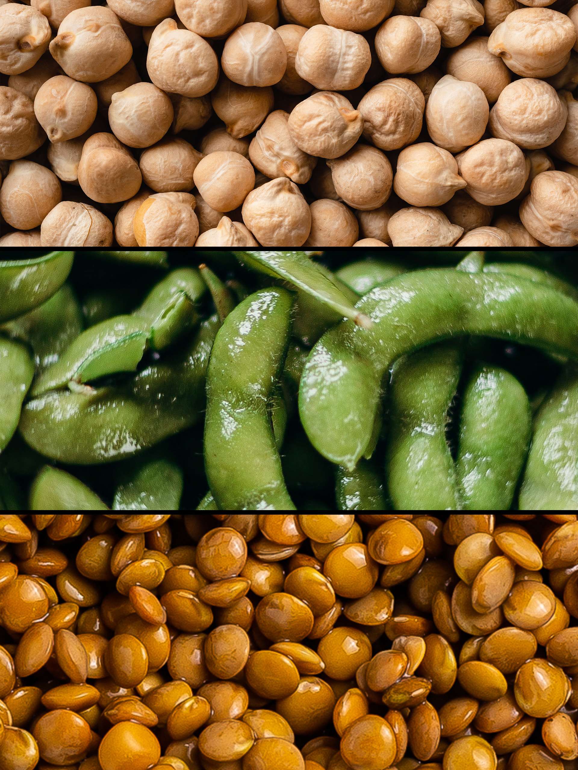 Top 5 Beans and Legumes For a Healthy Diet