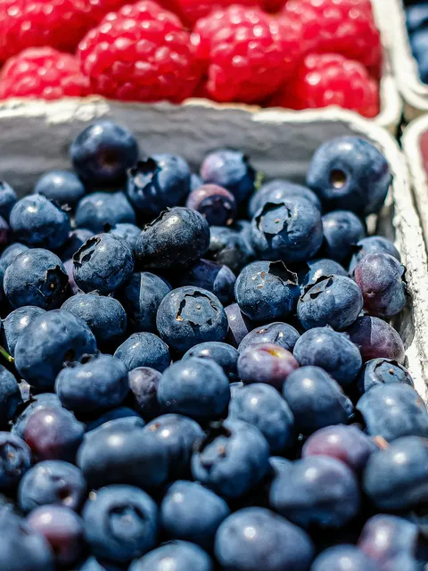 fresh blueberries in a paper basket
